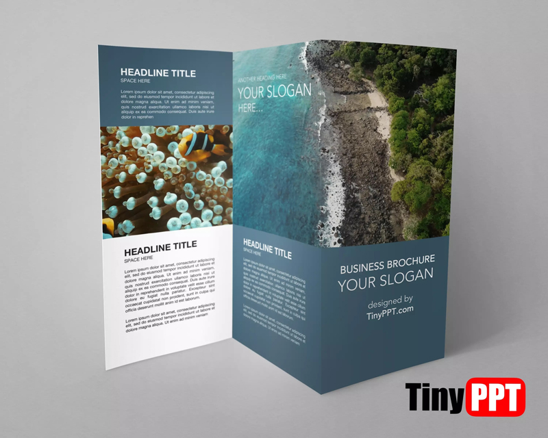 Google Drive Trifold Brochure Template TinyPPT Google Drive Trifold Brochure Template TinyPPT
